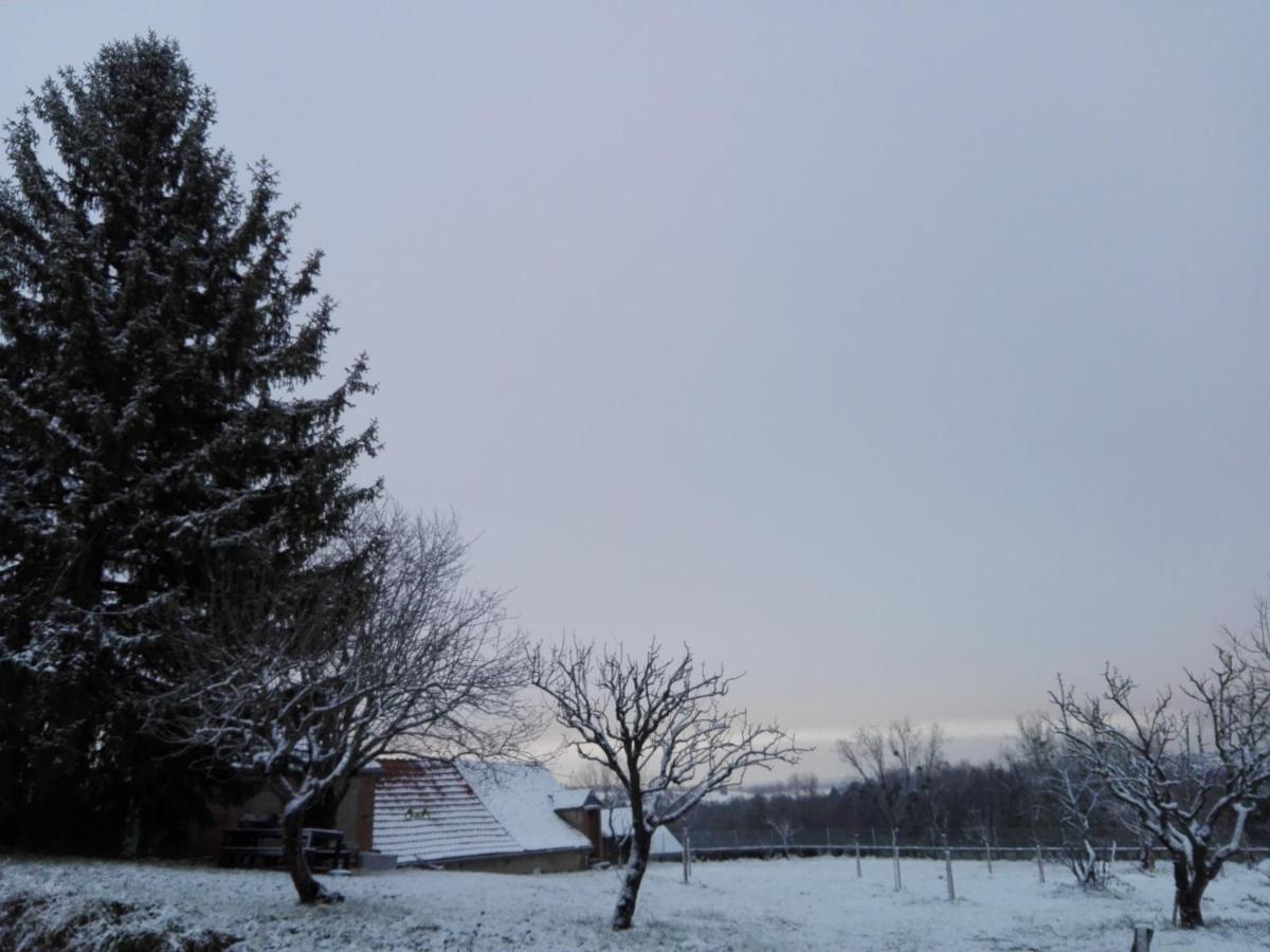 Cercy-la-Tour Chez Casimir B&B 외부 사진